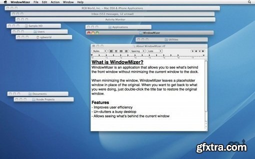 WindowMizer 4.4.2 (Mac OS X)