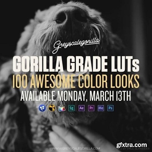 Greyscale Gorilla - Gorillla Grade LUTs for Final Cut Pro X (macOS)