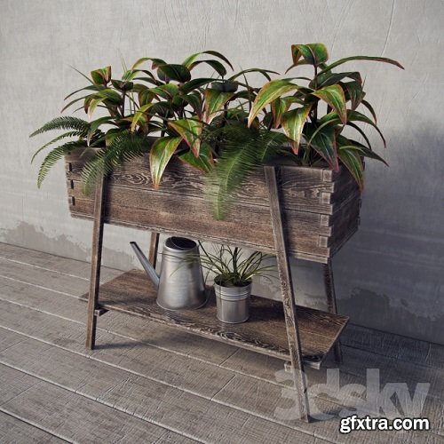 Terrace plants 3d Model