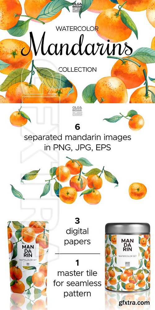 CreativeMarket - Watercolor Mandarins 2370039