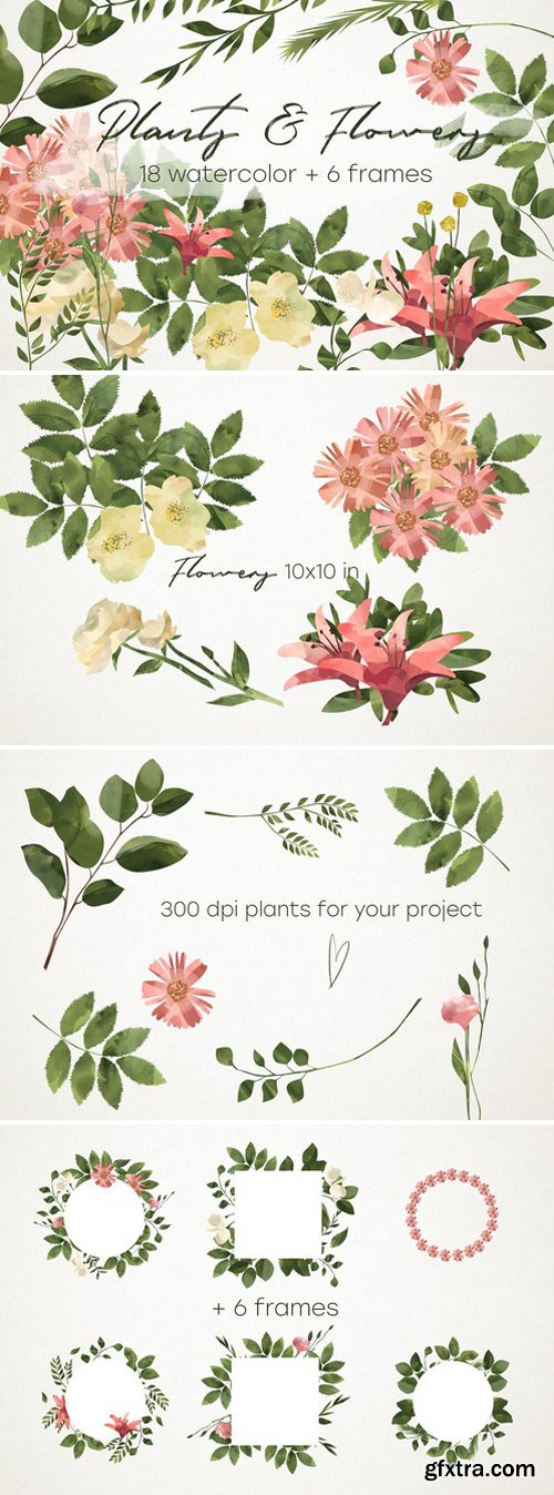 CM - Plants & Flowers 2380042