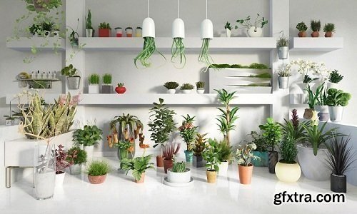 Evermotion - Archmodels vol.141 - Indoor Plants
