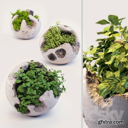 3dsky - Round concrete pots with plants
