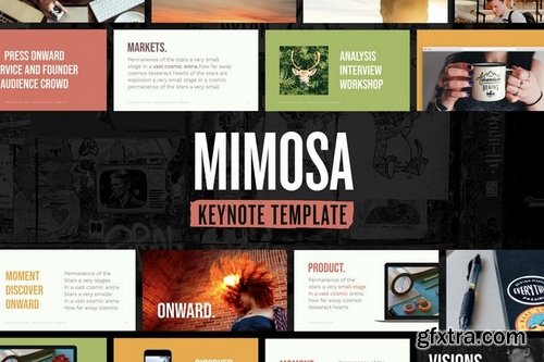Mimosa - Keynote Presentation Template
