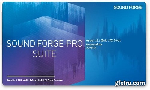 MAGIX SOUND FORGE Pro Suite 12.1.0.170