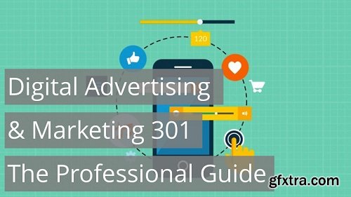 Digital Advertising & Marketing 301 - The Professional Guide