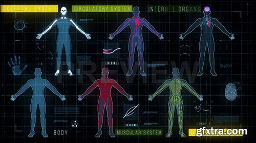Medical HUD with Body Systems 140273