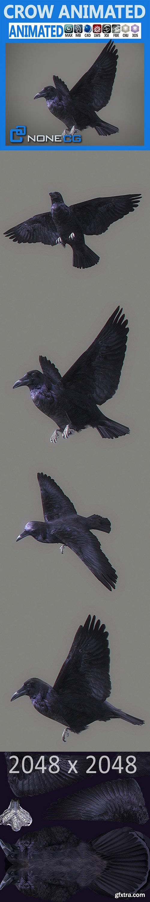 Cgtrader - Animated Crow 3D model