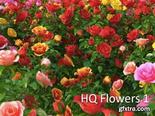 VrayC4D - HD Flowers vol.1 for Cinema4D