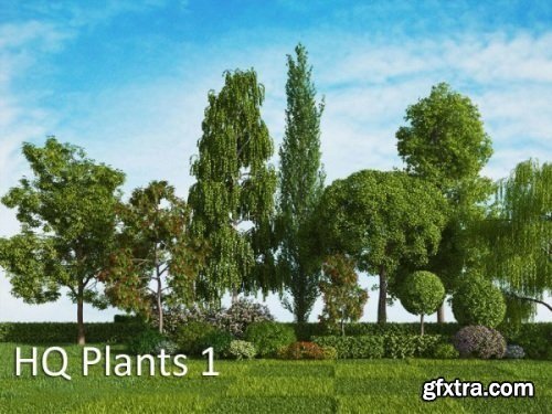 Vrayc4d - HQ Plants vol.1 for Cinema4D