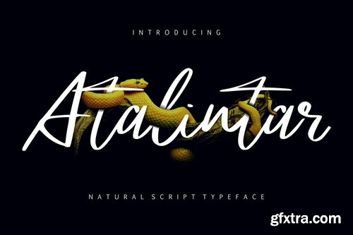 Atalintar Natural Script Typeface