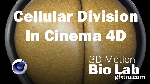 Cellular Division in Cinema 4D