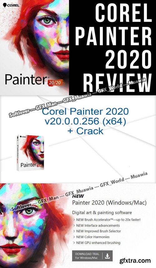 Corel Painter 2020 20.0.0.256 (x64) Portable