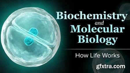 Biochemistry and Molecular Biology: How Life Works (The Great Courses)