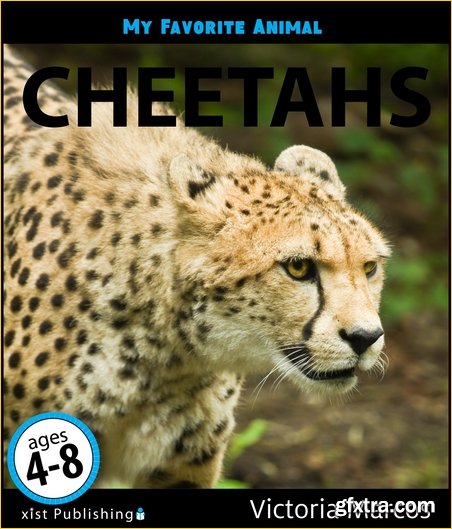 My Favorite Animal: Cheetahs
