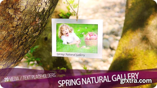 Videohive Gallery 16412173