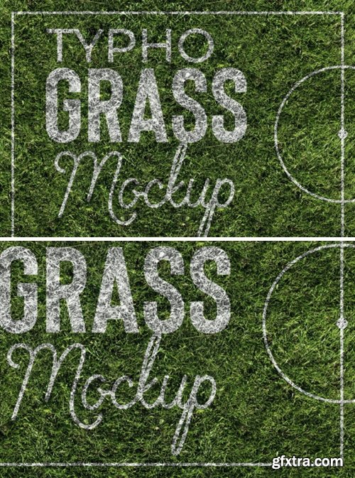 Grass Mockup 2205744