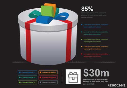 Gift Box Infographic - 256502441