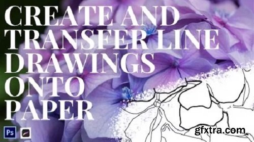 Watercolor Basics: Creating and Transferring Line Drawings Digitally (Procreate)