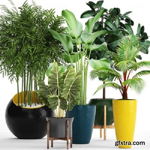 Modern potted plants 10 3D model