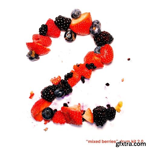 Treesound Records Mike Hector Mixed Berries Vol 2 Drum Kit WAV
