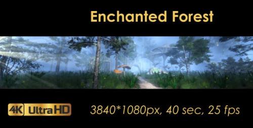 Videohive - The Enchanted Forest Panorama - 20817233