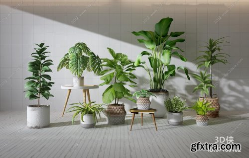 Modern potted plants 08 3D model