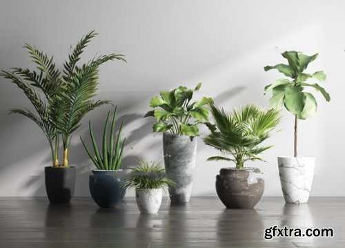 Modern potted plants 09 3D model