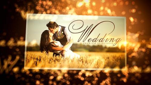 Videohive - Wedding - 16410509