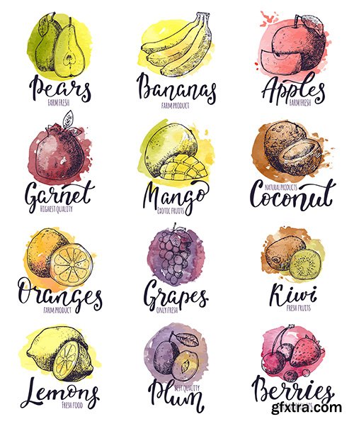 Fruits Watercolor Logo with Lettering Illustration