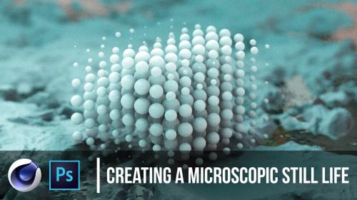 SkillShare - Creating A Microscopic Still Life In Cinema 4D