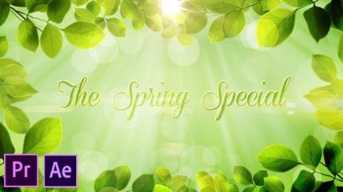 Videohive - The Spring Special - Promo Pack - Premiere Pro - 26322422
