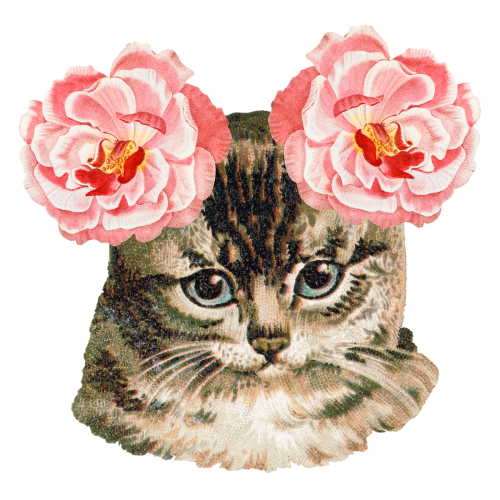 Hand drawn cute cat with ever-blowing roses on it's ears transparent png - 2093718
