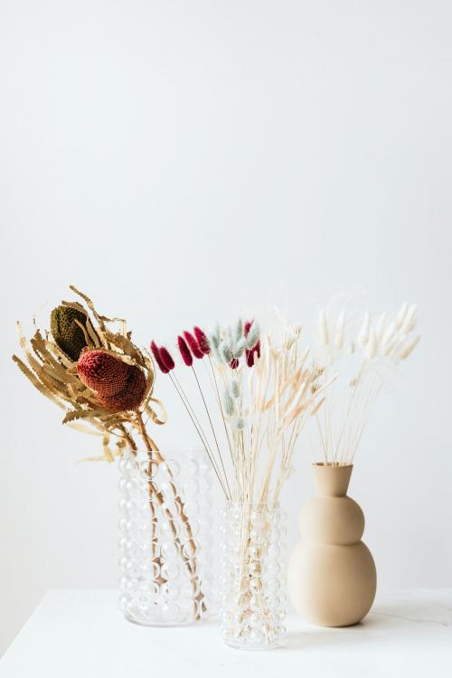 Dried Bunny Tail grass in vases - 2255459