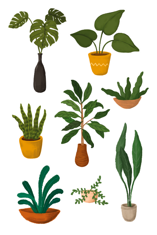 Indoor plants sticker collection - 2023377