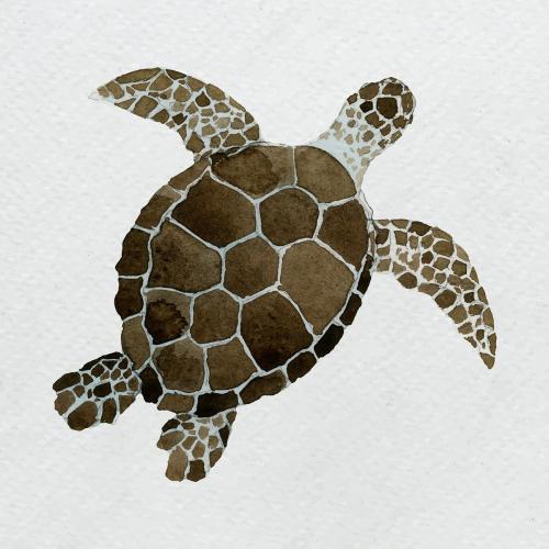 Watercolor painted sea turtle on white canvas vector - 2045466