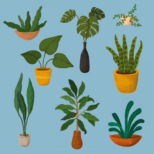Indoor plants sticker collection - 2045682