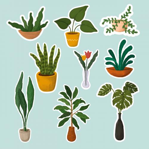 Indoor plants sticker collection - 2045701