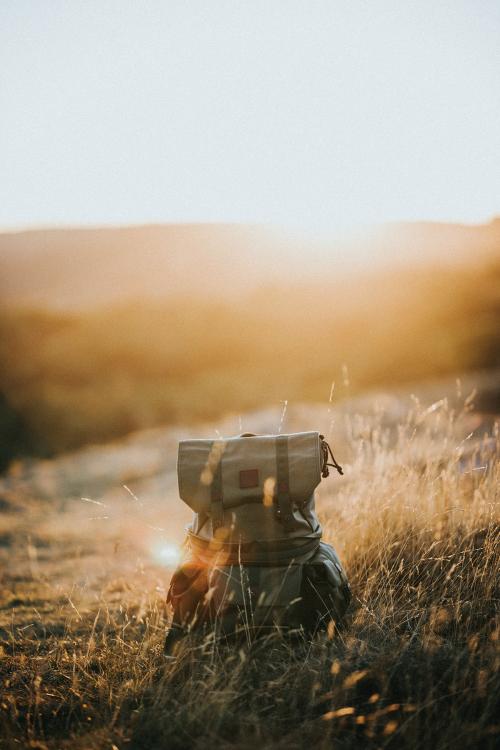 Canvas backpack in a brown grass field - 598385