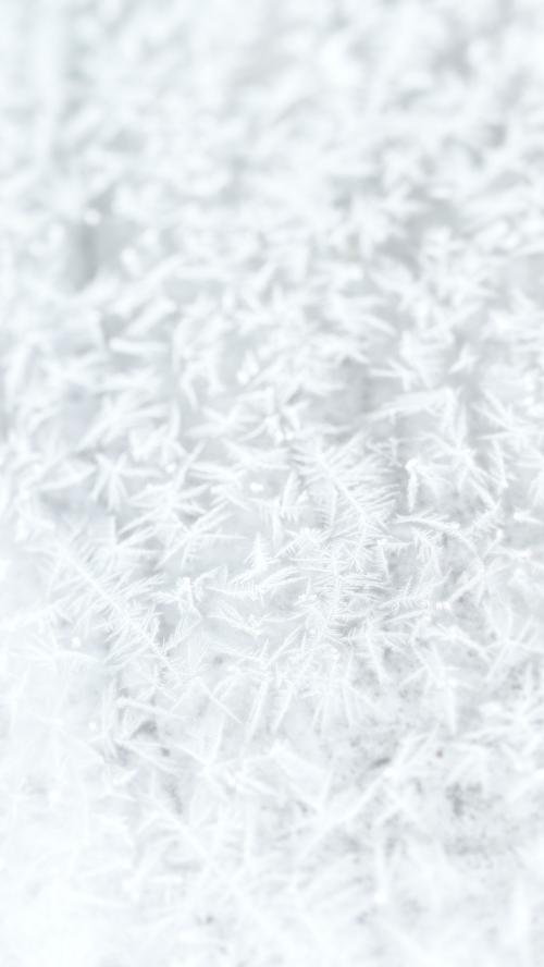 Frosty white tree branches background - 1229758