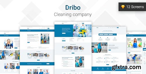 ThemeForest - Dribo v1.0 - Cleaning company Sketch Template - 22566699