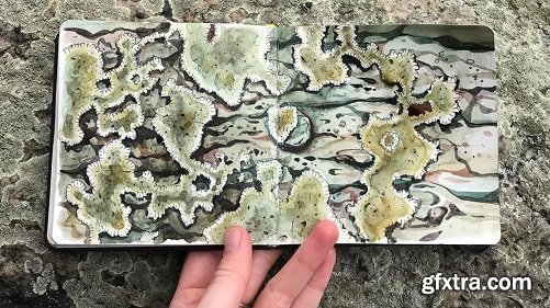 Skillshare Live: Painting Natural Textures With Watercolor