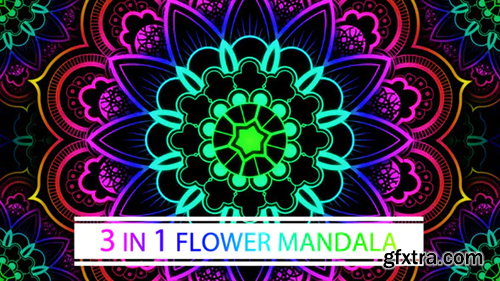 Videohive Flower Mandala 02 22433308