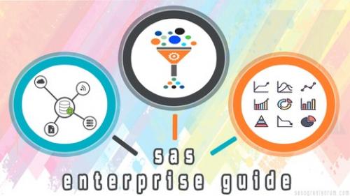 Udemy - SAS Enterprise Guide (Türkçe)
