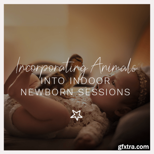 Incorporating Animals into Indoor Newborn Sessions by ​But Natural Photography