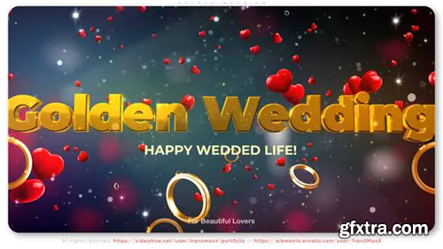 Videohive Golden Wedding 30333085
