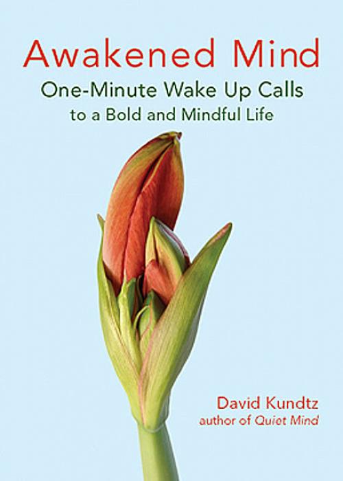 Awakened Mind - David Kundtz
