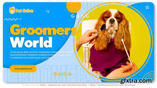 Videohive Pet Grooming Salon Promotion 30723694