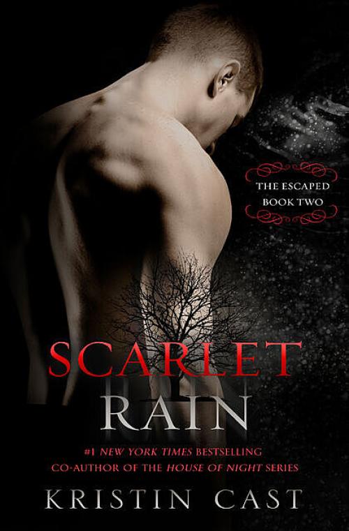 Scarlet Rain -- - P.C.Cast