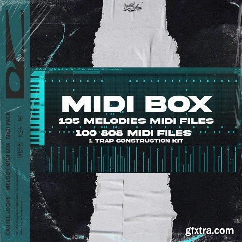 Cartel Loops MIDI Box 2